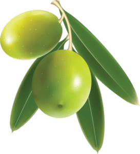 Celest Oil Sitelogo